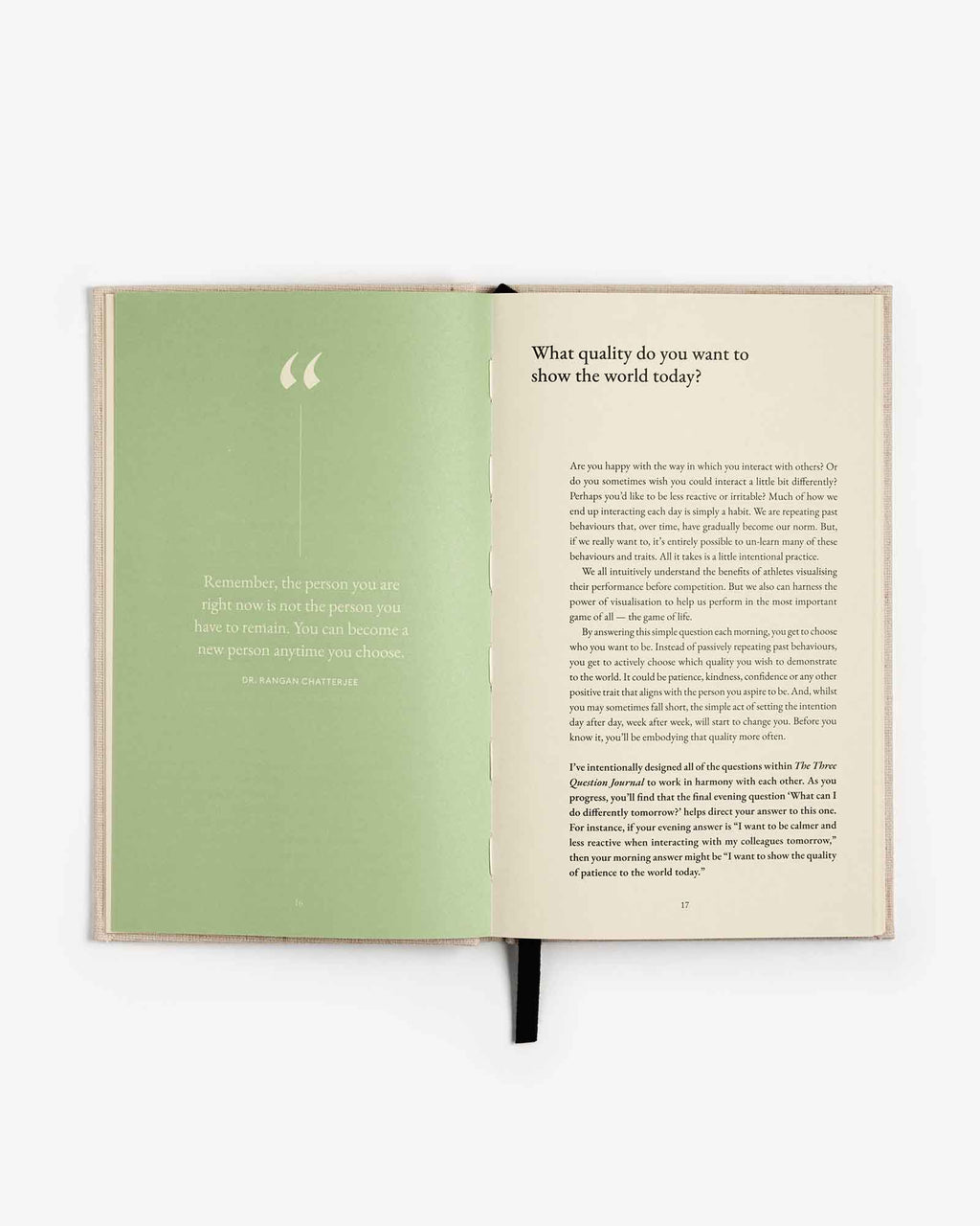 The Three Question Journal - Green